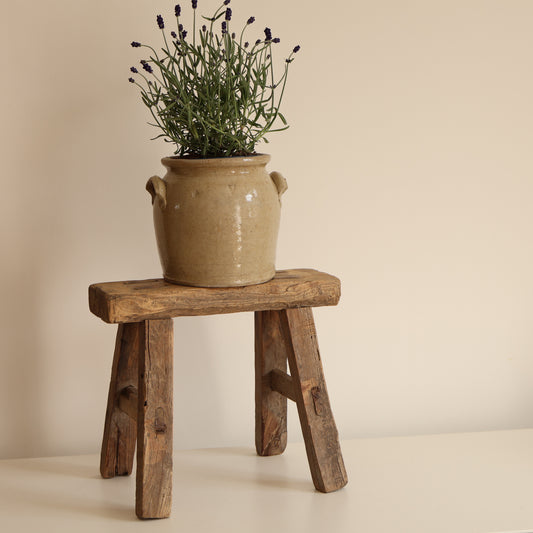 Small elm stool - Ada