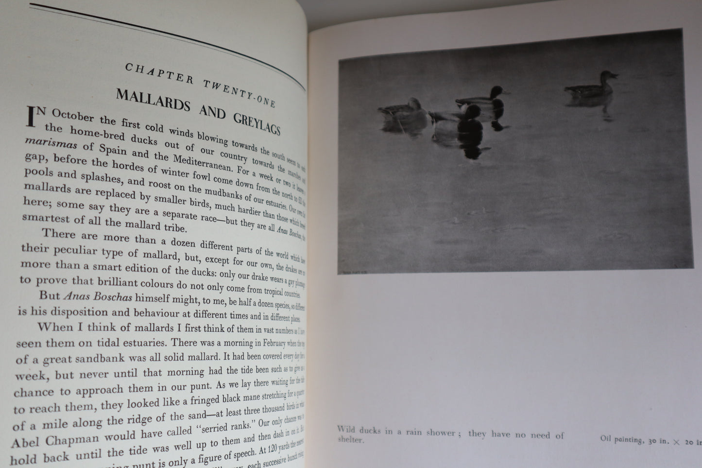 Book - Morning Flight