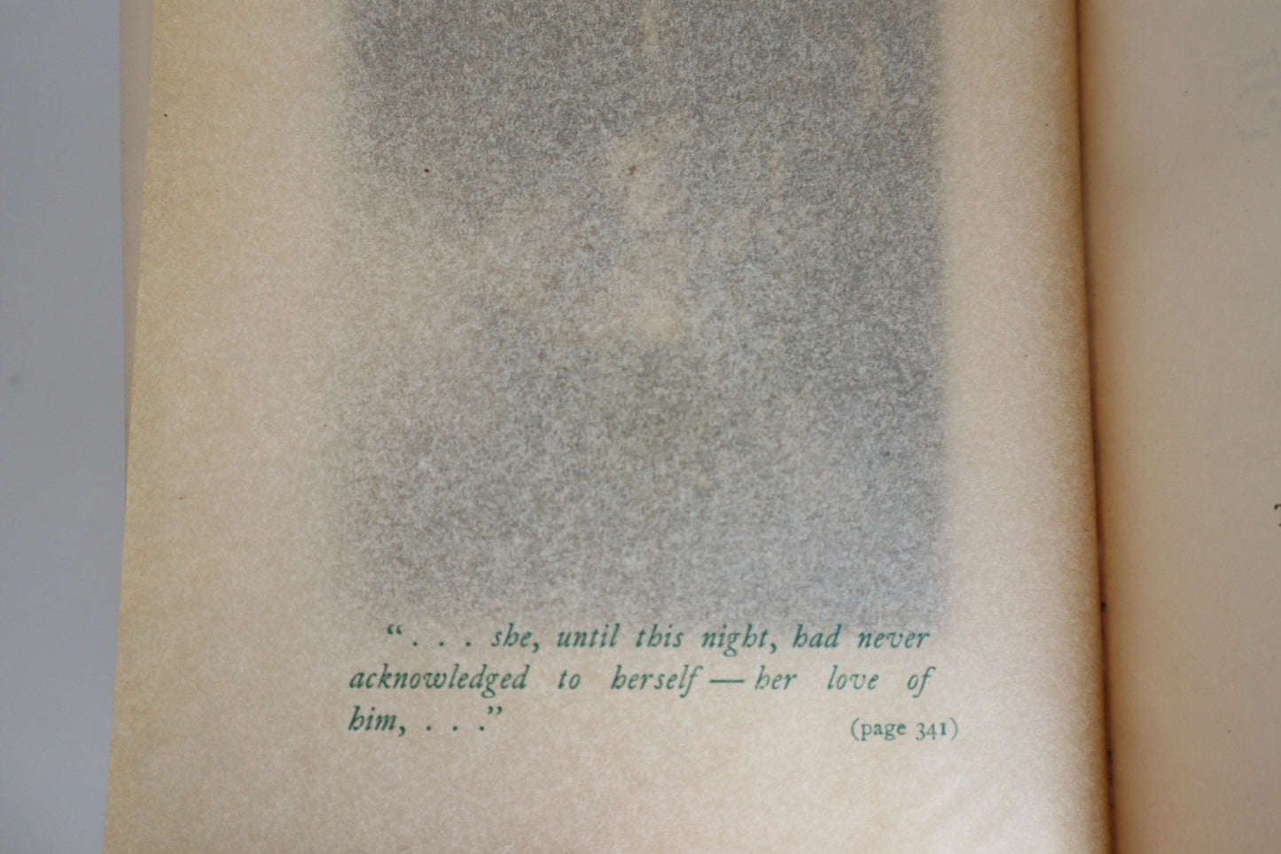 Book - The Choir Invisible