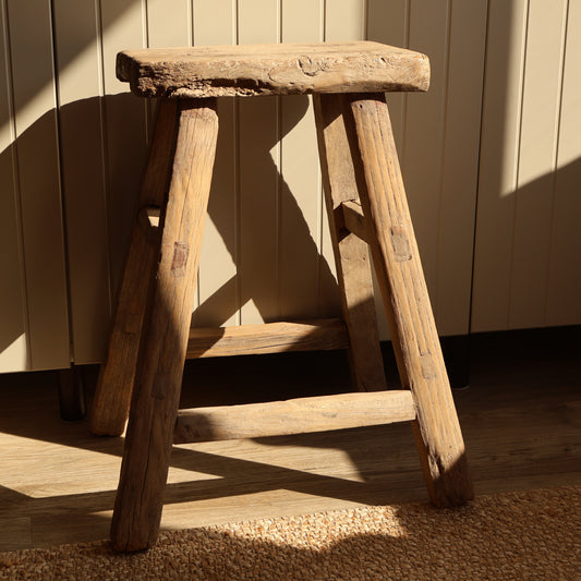 Tall elm stool - Fern