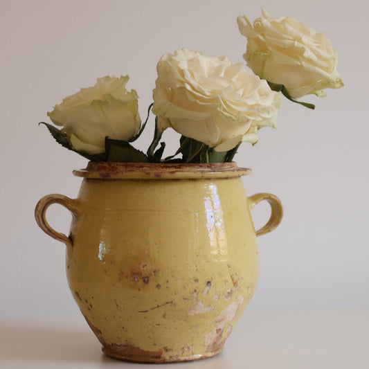 Confit pot - Limoncello