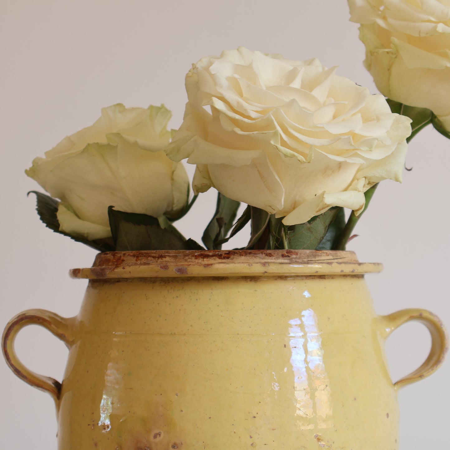 Confit pot - Limoncello