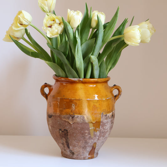 Yellow confit pot - Bloom