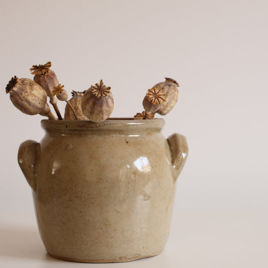 Mini confit pot - Thali