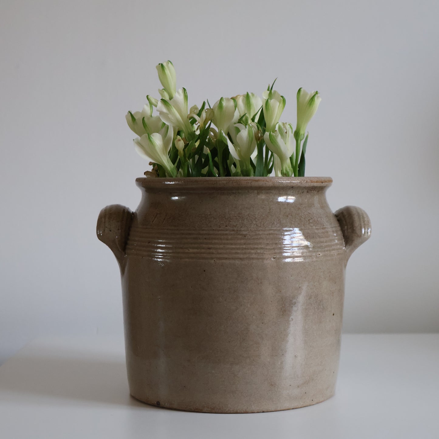 Confit pot - Enzo