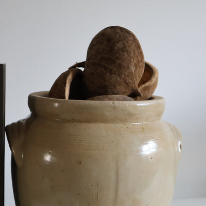 Confit pot - Amara