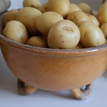 Potato bowl