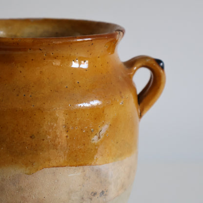 Yellow confit pot - Harley