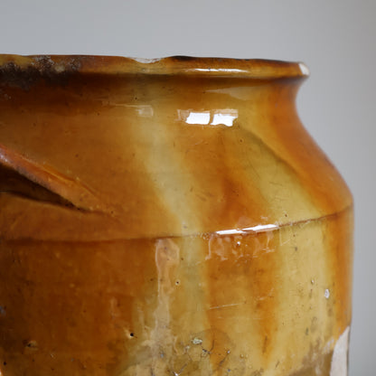 Yellow Confit pot