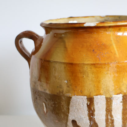 Yellow Confit pot