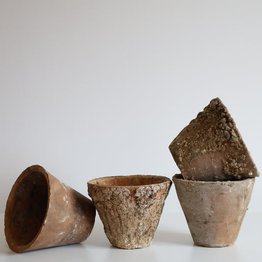 Sap pots