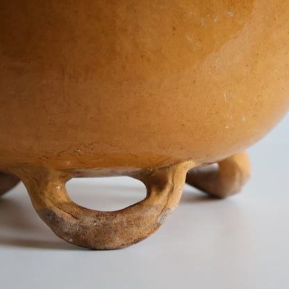 Potato bowl