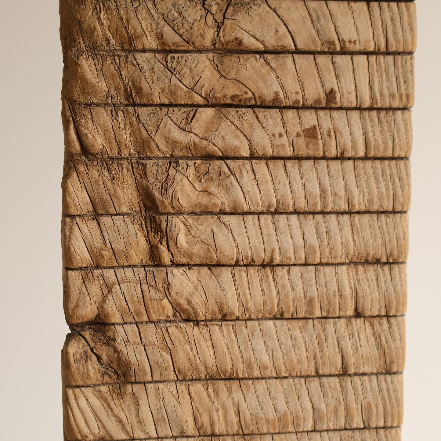Elm washboards