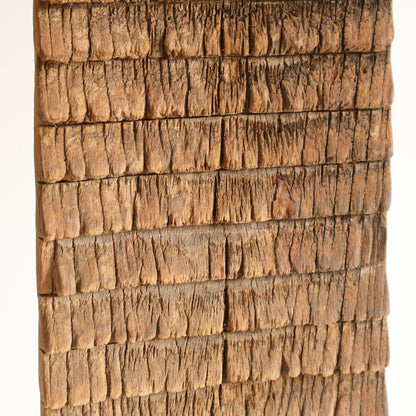Elm washboards