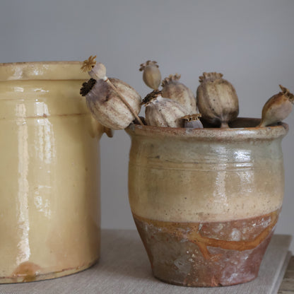 Confit pot - Vale