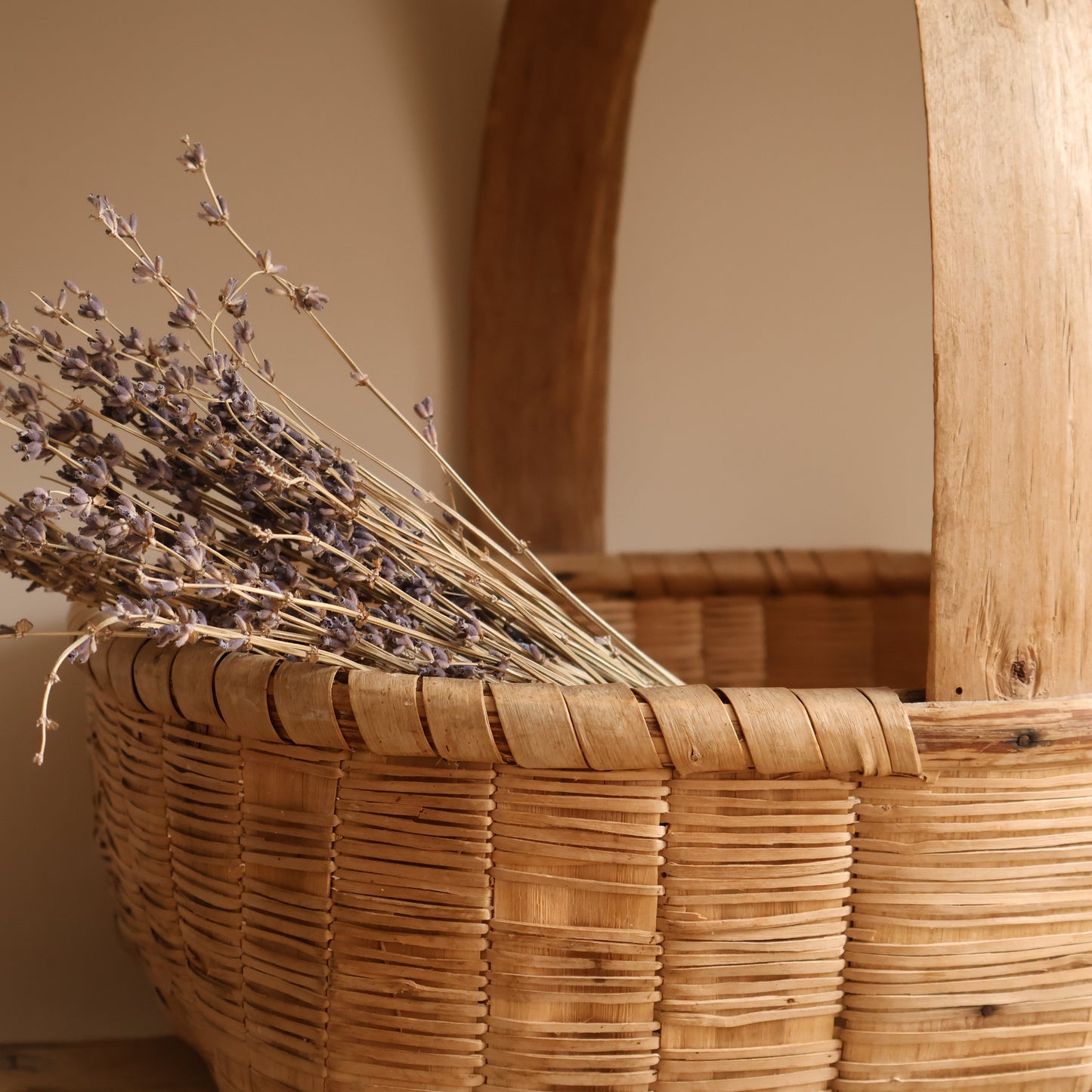 French basket - Ren