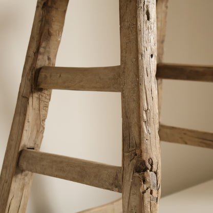 Tall elm stool - Lior