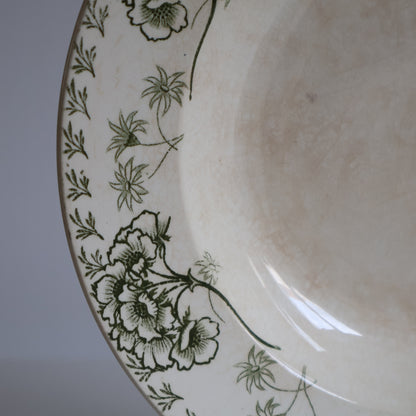 Terre de fer plates