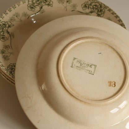 Terre de fer plates