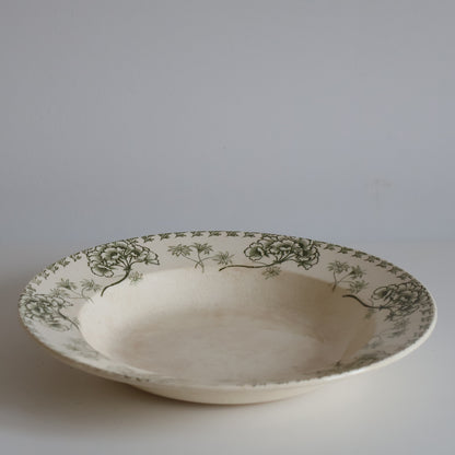 Terre de fer plates