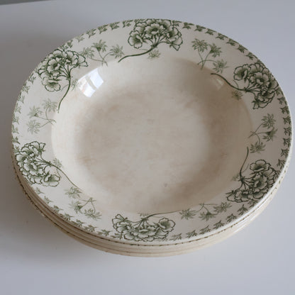 Terre de fer plates