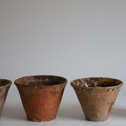 Terracotta sap pots