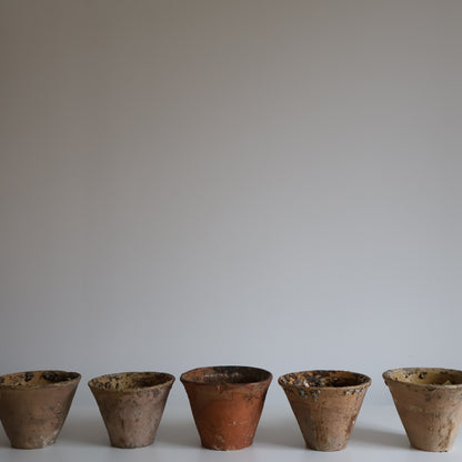 Terracotta sap pots