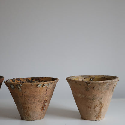 Terracotta sap pots