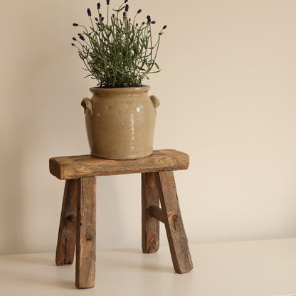 Small elm stool - Ada