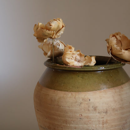 Confit pot - Olive
