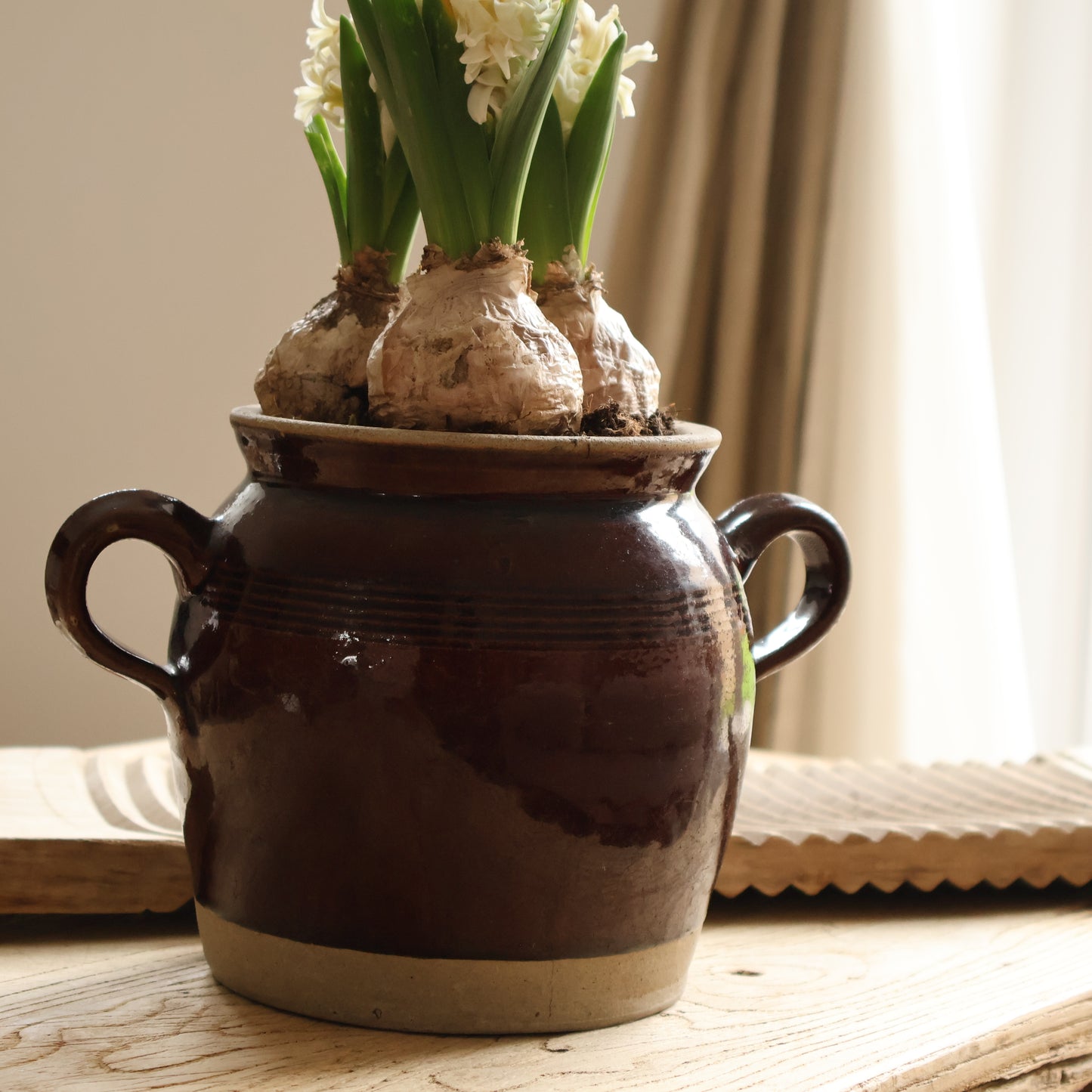 Confit pot - Rey
