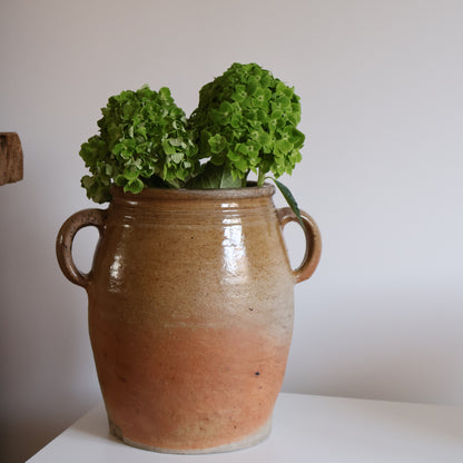 Confit pot - Juno