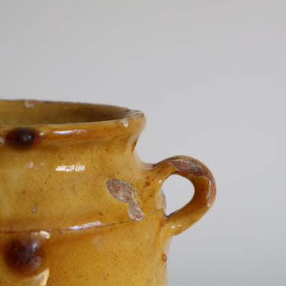 Mini yellow confit pot - Dore