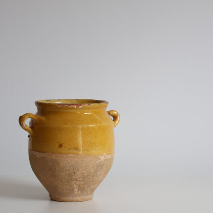 Mini yellow confit pot - Dore