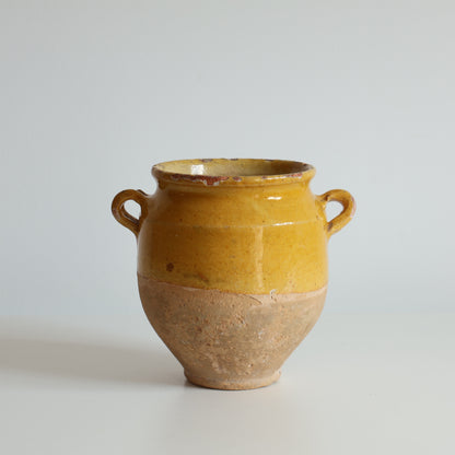 Mini yellow confit pot - Dore