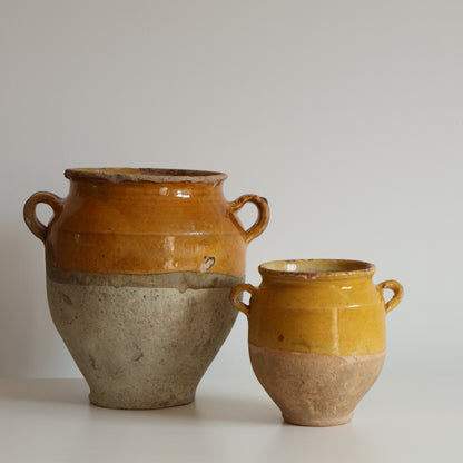 Mini yellow confit pot - Dore