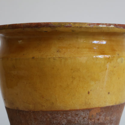 Confit pot - Malo