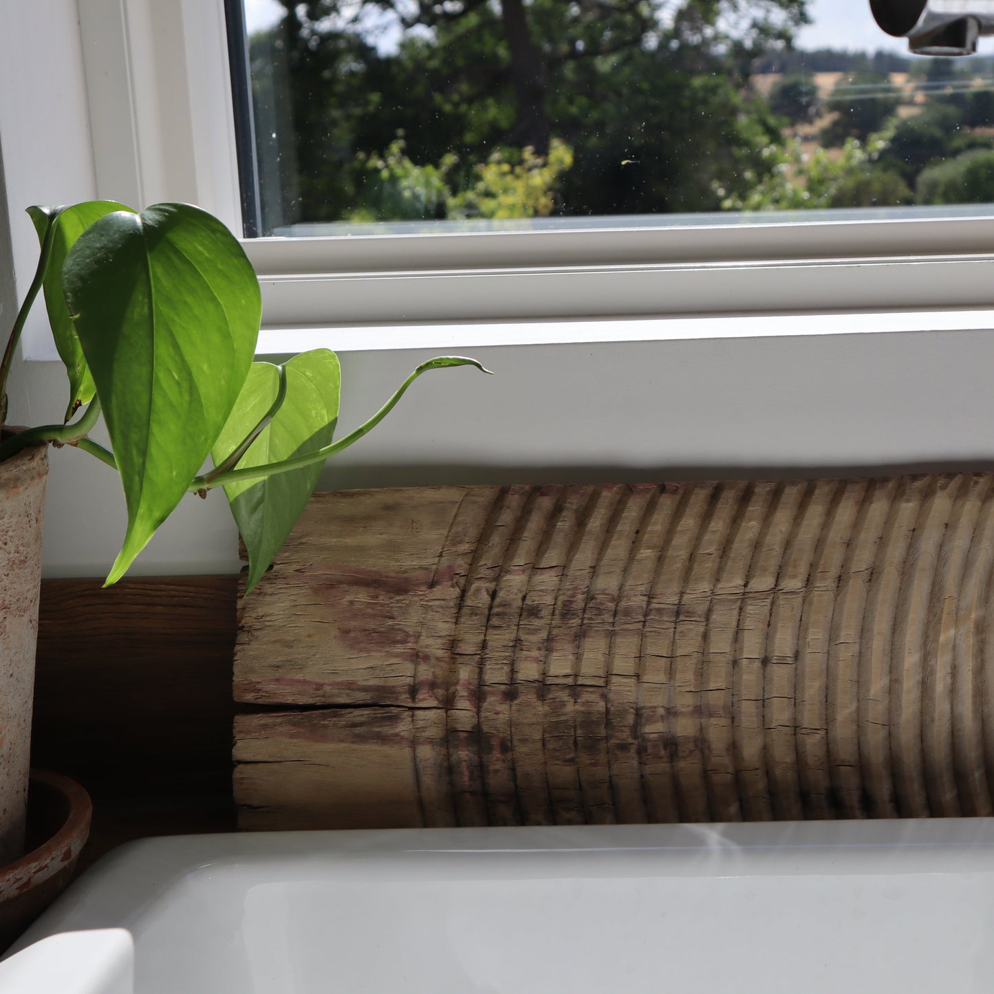 Elm washboards