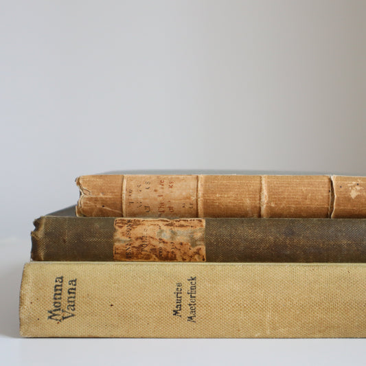 Styling book bundle