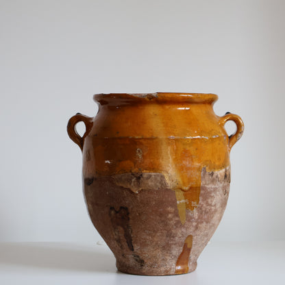 Yellow confit pot - Bloom