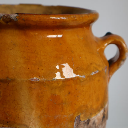 Yellow confit pot - Bloom