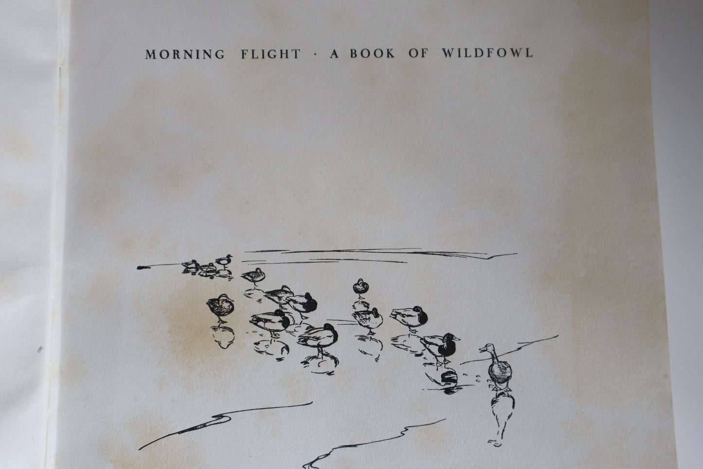 Book - Morning Flight