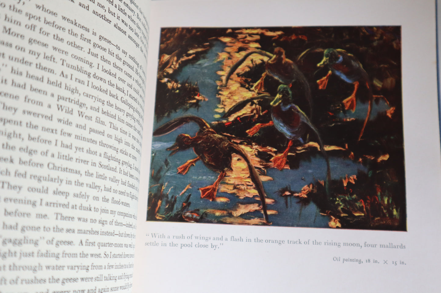 Book - Morning Flight