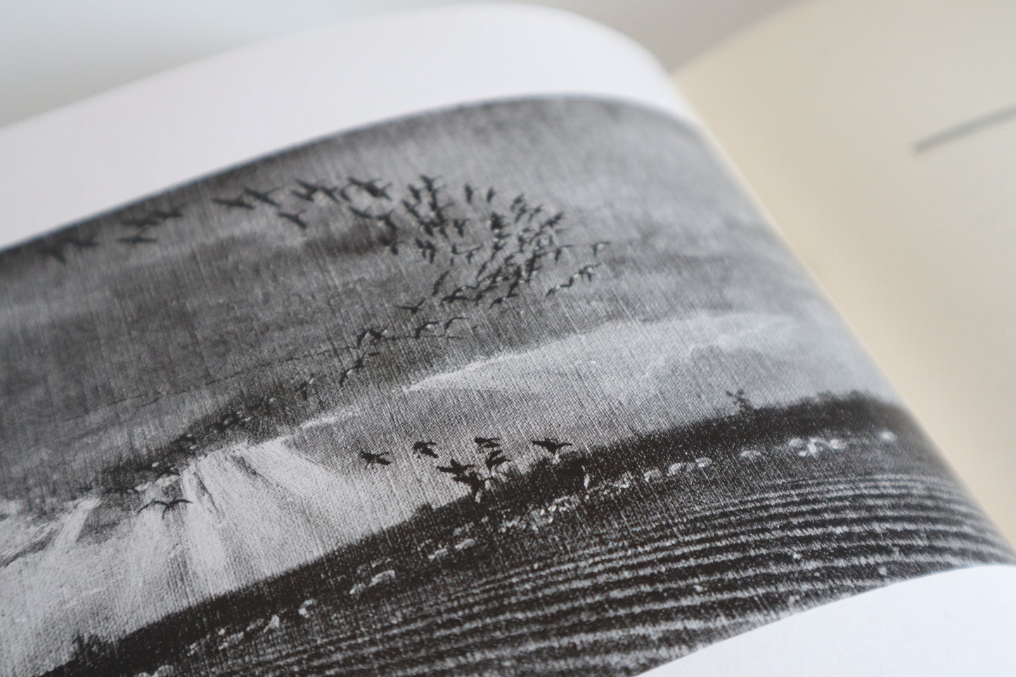 Book - Morning Flight