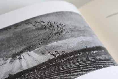 Book - Morning Flight