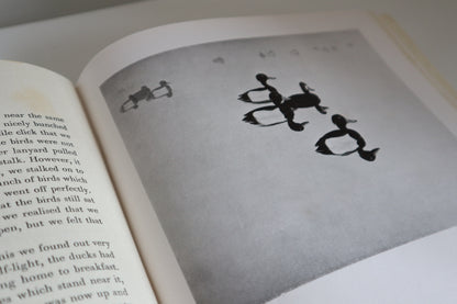 Book - Morning Flight
