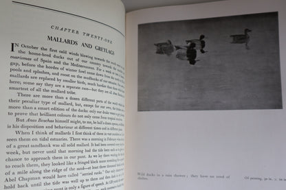 Book - Morning Flight