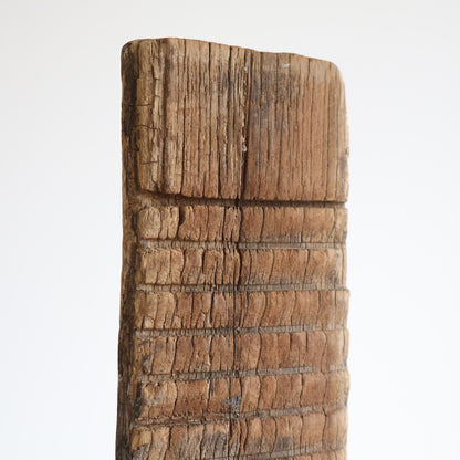 Elm washboards