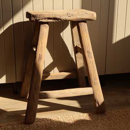 Tall elm stool - Fern