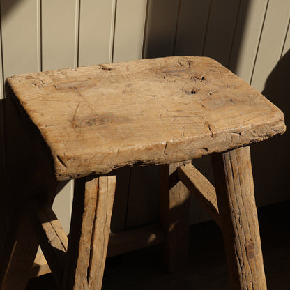 Tall elm stool - Fern